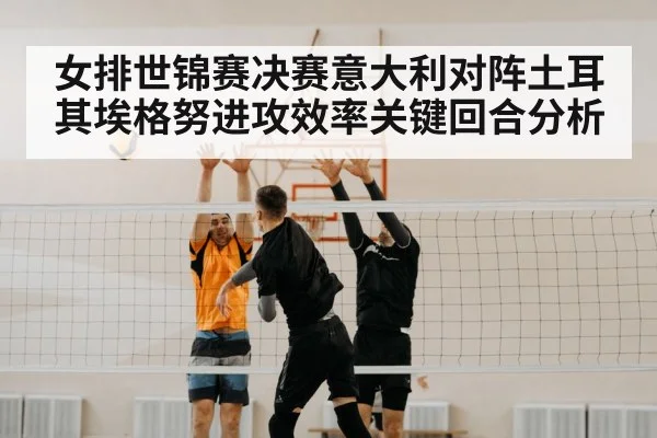 volleyball block net